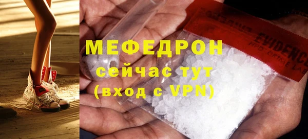 СК Ельня