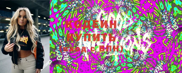 СК Ельня
