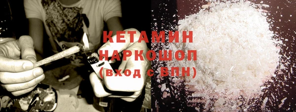 СК Ельня